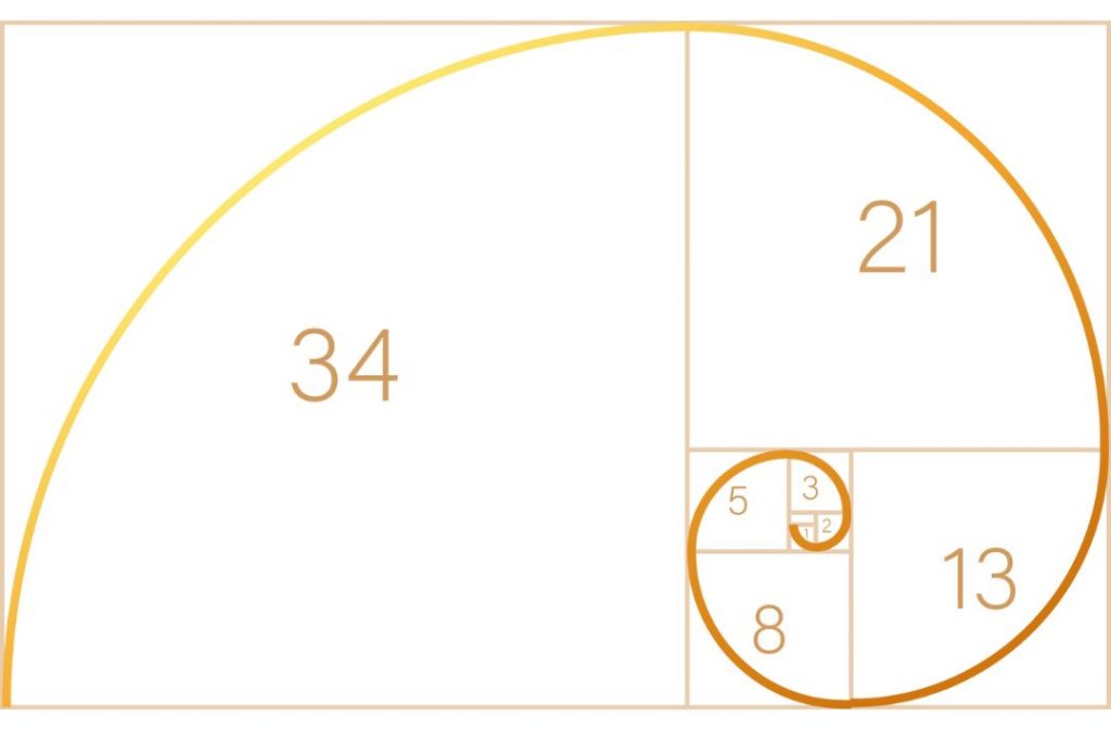 Fibonacci-Spirale