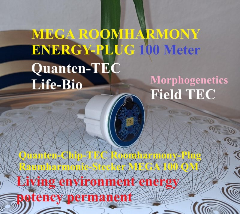 Quanten-Chip Stecker | Energieanhänger | Aura-Schutz | Harmonisierung | Elektrosmog-Schutz | Hausharmoniesierung | Elektrosmog-Schutz | Frequenzgerät |Bioresonanz | Schuhmann 7.38Hz