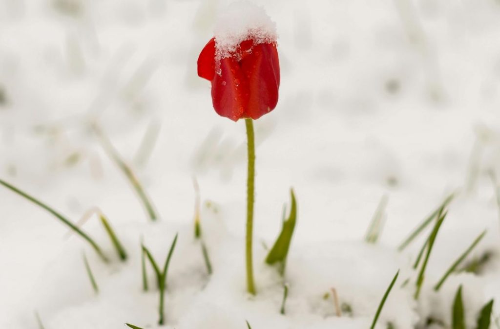Energetischer Wandel