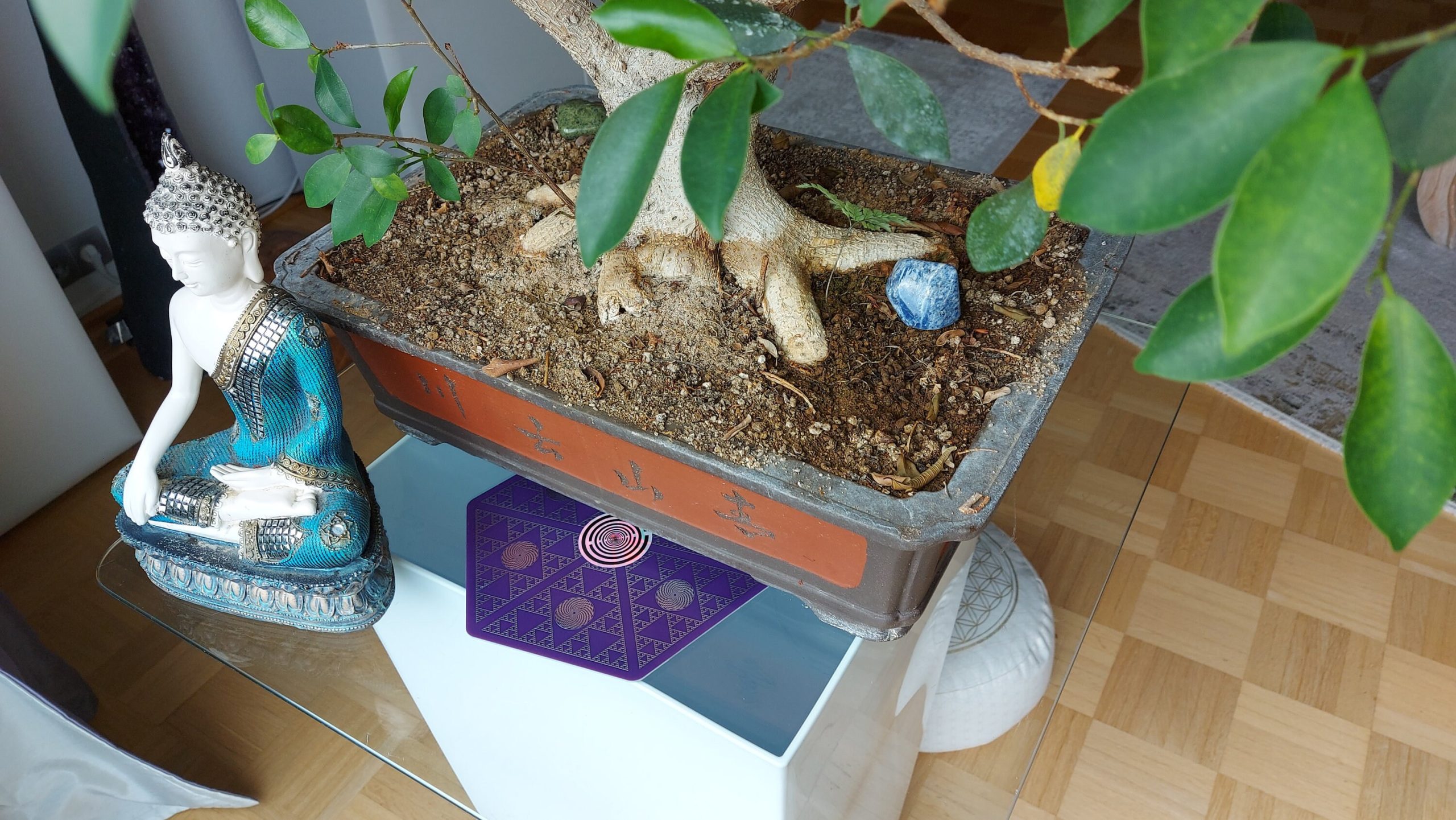 Lila Energieplatte mit geometrischen Mustern unter Pflanzenschale und Buddha-Statue